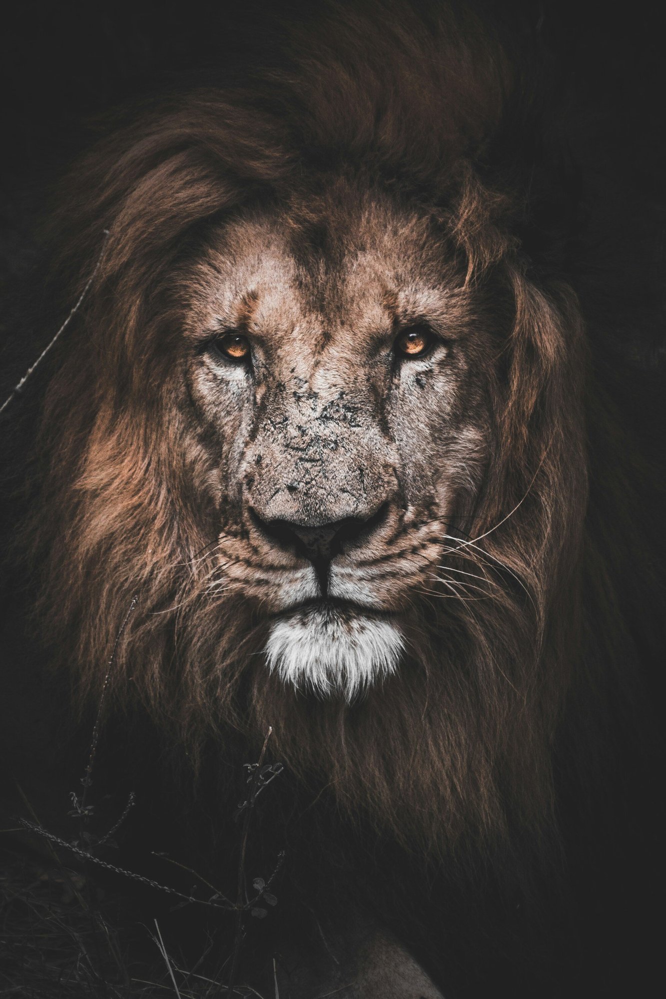 matthew-kerslake-BpH--upRlCs-unsplash